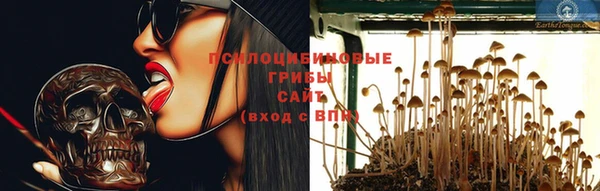 МДПВ Богородск