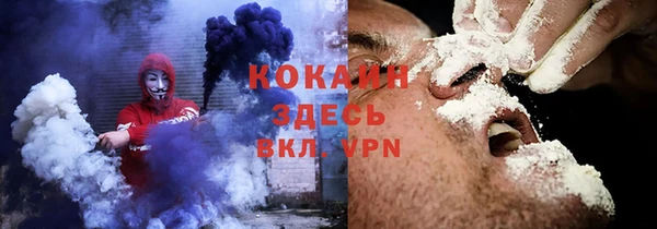 стафф Богданович