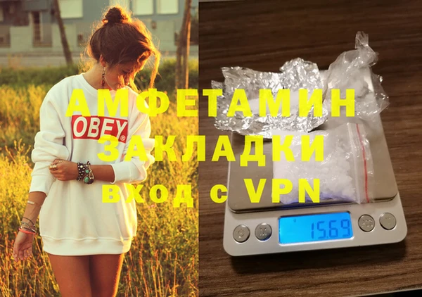 стафф Богданович
