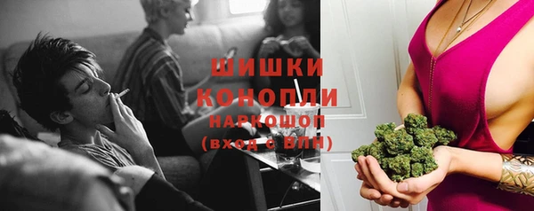 стафф Богданович