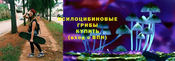 МДПВ Богородск