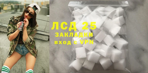 индика Зеленокумск