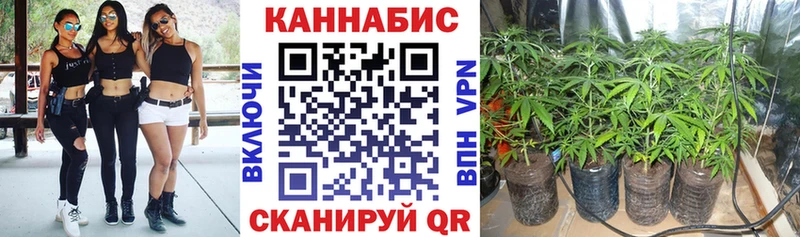hydra зеркало  Богородск  Бошки Шишки конопля 